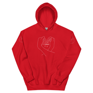 I Admire You Unisex Hoodie (DISCONTINUED AWAITING REWORK)